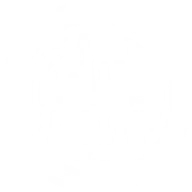 logo icon