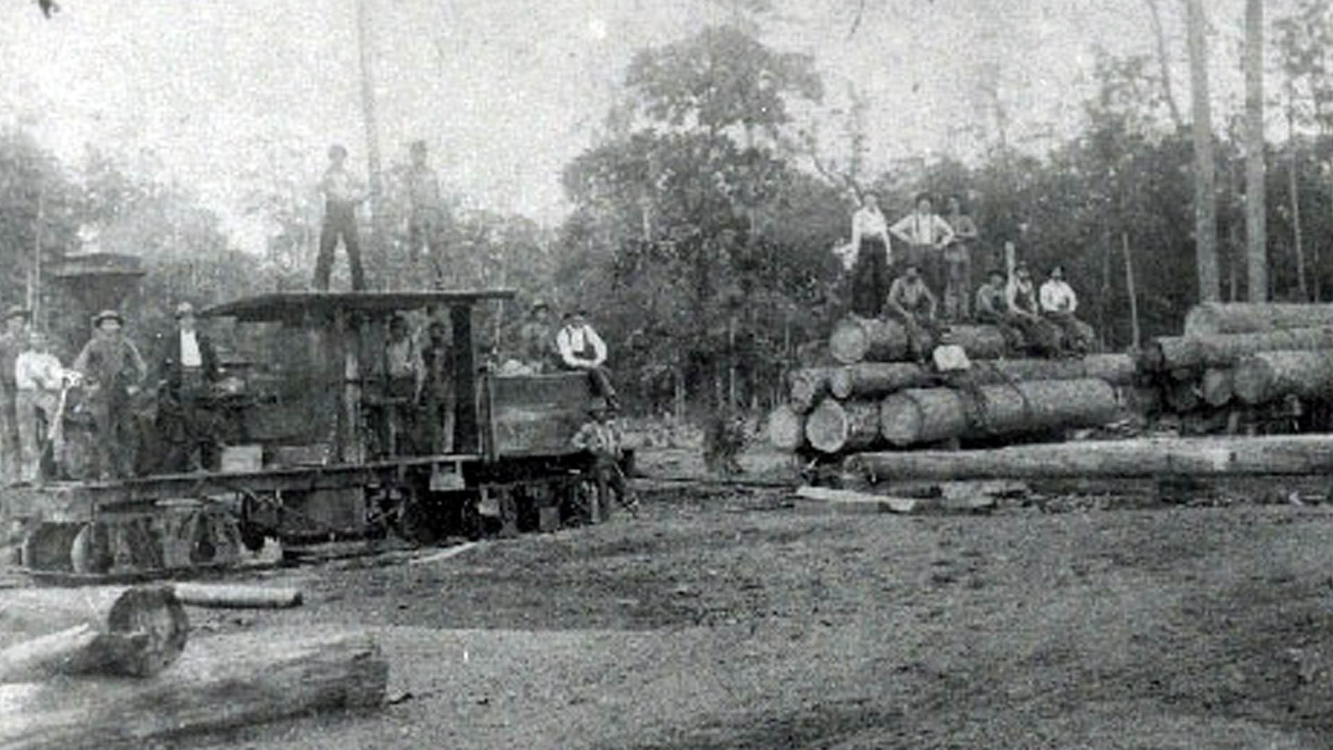 Image for Brackenridge Lumber Company Calls Albany, Louisiana Home, 1889