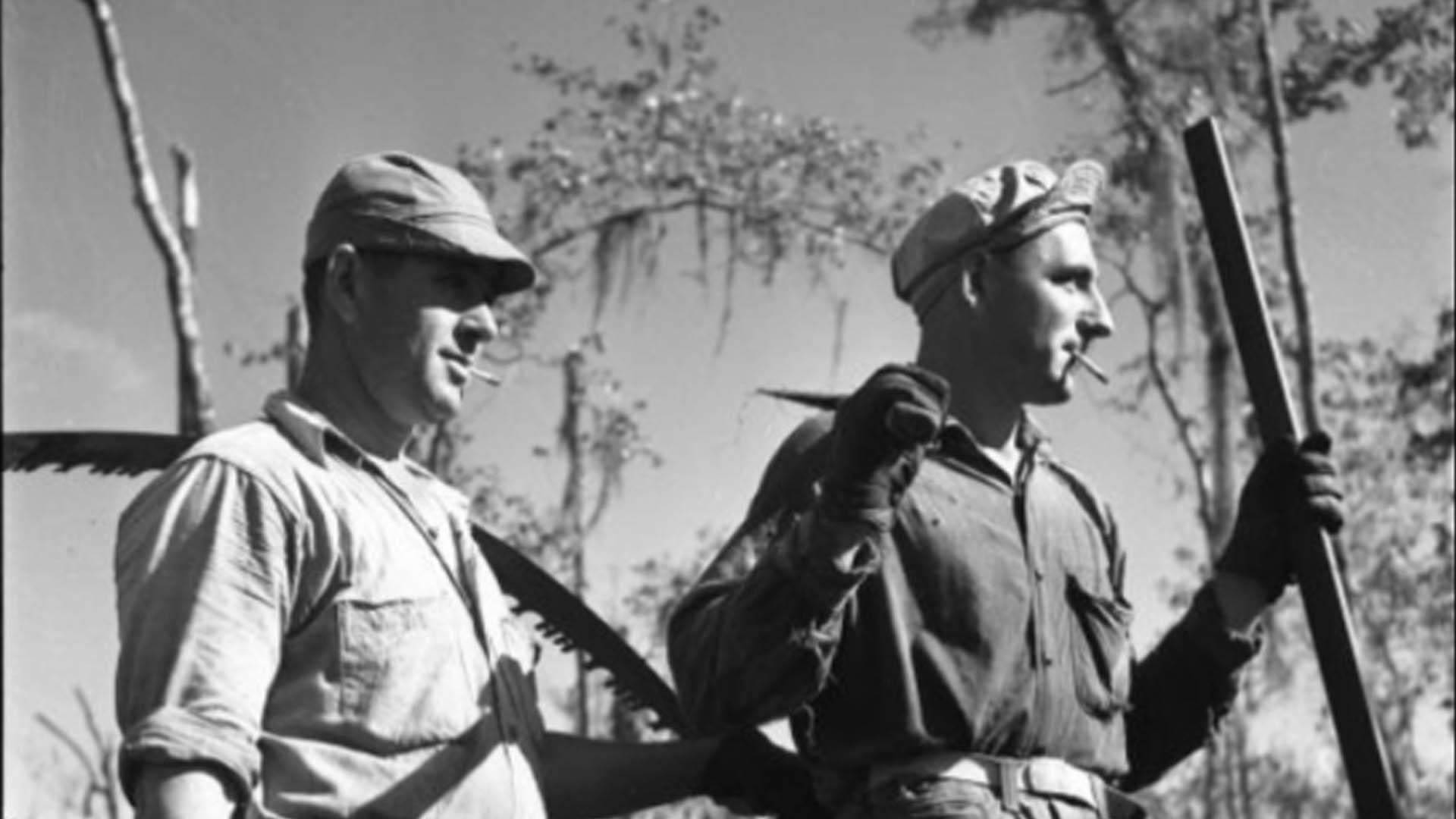 Image for Cypress Harvesting in the South 1700-1960, Part 1