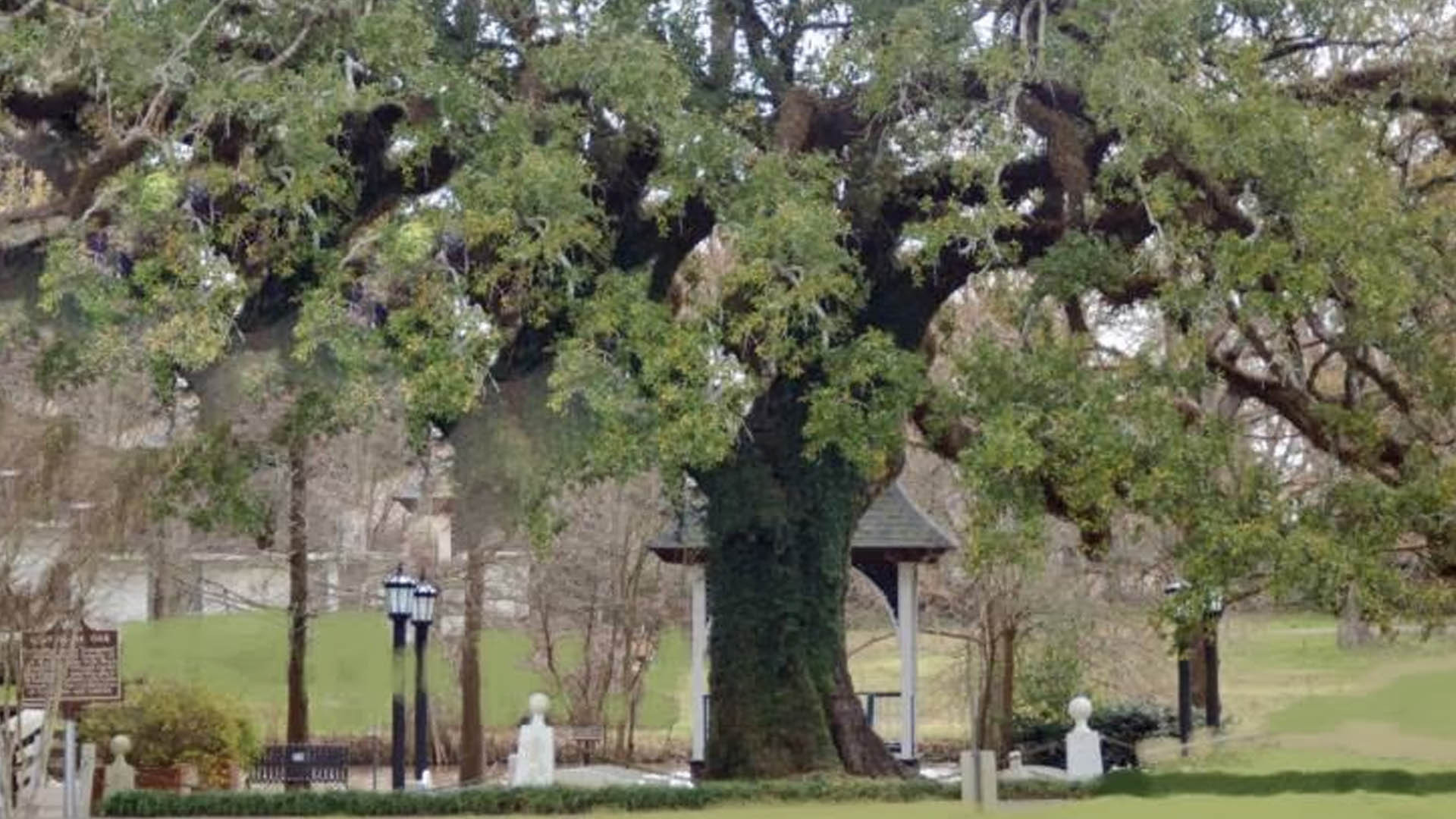 Image for Evangeline’s Oak, St. Martinville, Louisiana