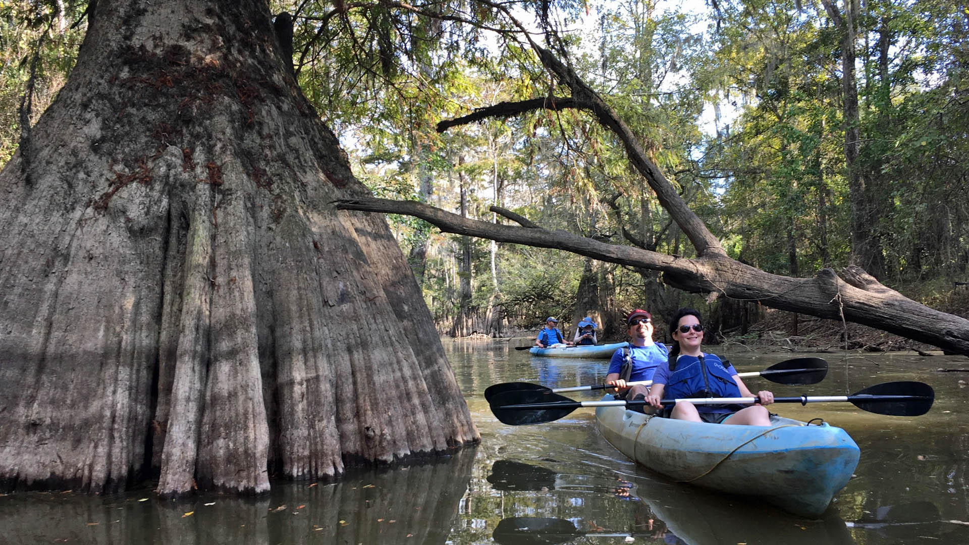 Image for Honey Island Swamp Named Most Pristine Swampland Habitat In US – Slidell, Louisiana