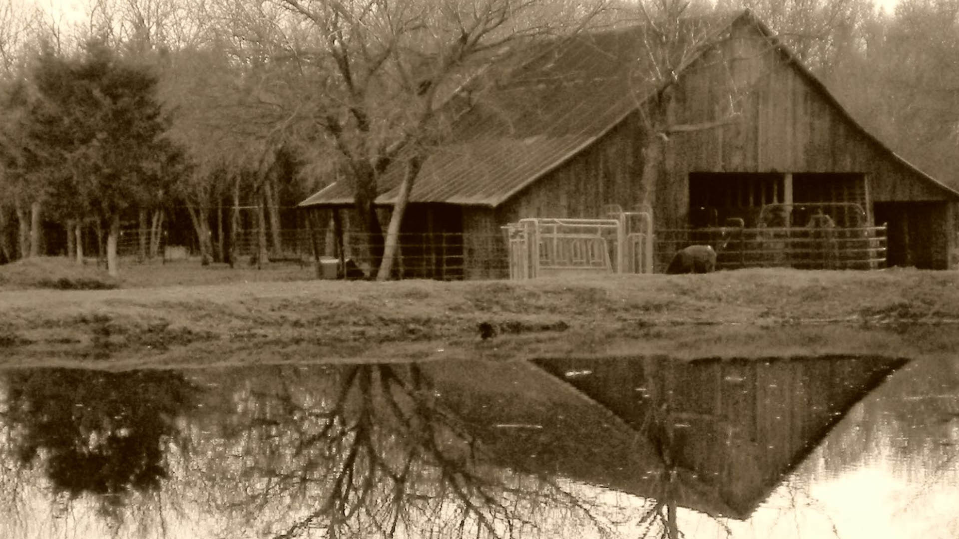 Image for Albany Woodworks on Preserving our Past, 1978